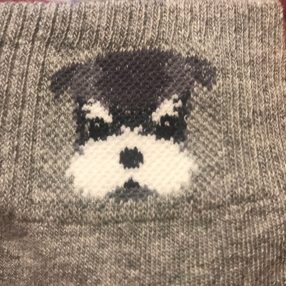 Aries women’s socks : grey with Dog